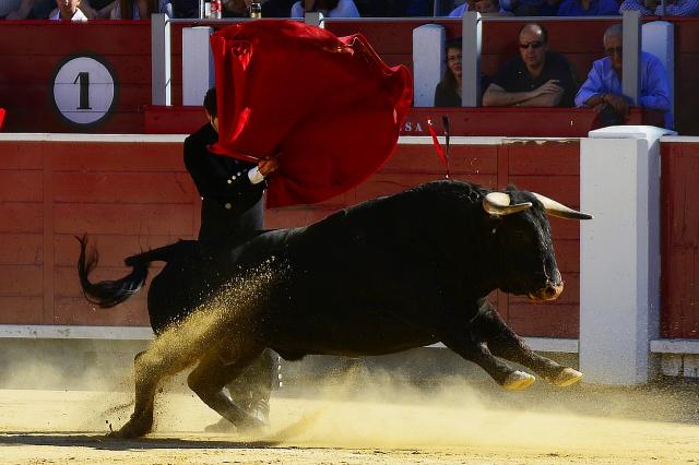 Boadilla celebrará a partir del 6 de febrero el I Foro de Tauromaquia