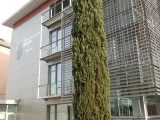 Boadilla destina 4 millones de euros a ayudas y rebajas fiscales para vecinos y empresas