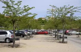 Instalación de 125 protectores de árboles en la zona de estacionamiento ecológico del palacio del Infante D. Luis