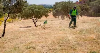El Ayuntamiento recuerda a los propietarios de solares y terrenos la obligatoriedad de mantenerlos limpios y desbrozados para evitar incendios