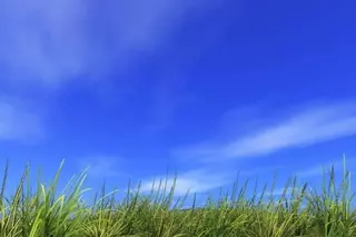 Temperaturas sin cambios durante la jornada de hoy