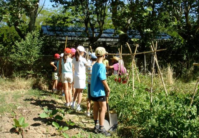 Juventud organiza campamentos de verano para niños y jóvenes de 7 a 16 años dentro de la Comunidad de Madrid