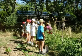 Juventud organiza campamentos de verano para niños y jóvenes de 7 a 16 años dentro de la Comunidad de Madrid