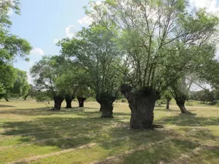 El PSOE pide la regulación de las bicicletas en el Monte de Boadilla