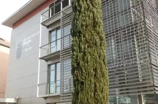 Boadilla modifica de forma inicial su ordenanza de Emergencia Social para aumentar las ayudas a los más vulnerables