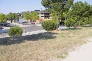 Comienzan las obras de conexión de la avenida Isabel de Farnesio con la M-513