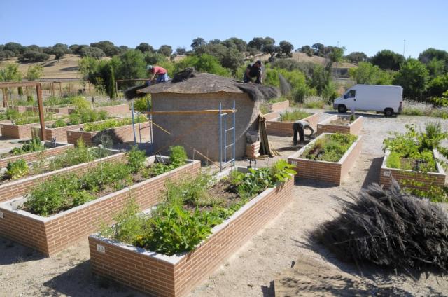 El Ayuntamiento realiza actuaciones de mejora en los huertos urbanos de Boadilla
