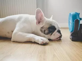 Fin de semana caracterizado por las altas temperaturas