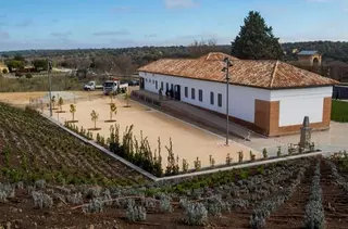 Cursos, talleres, voluntariado y charlas, en la programación de otoño del Aula Medioambiental