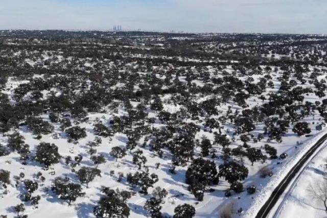 El Ayuntamiento pide a los vecinos que no acudan al monte por la alta peligrosidad que presenta