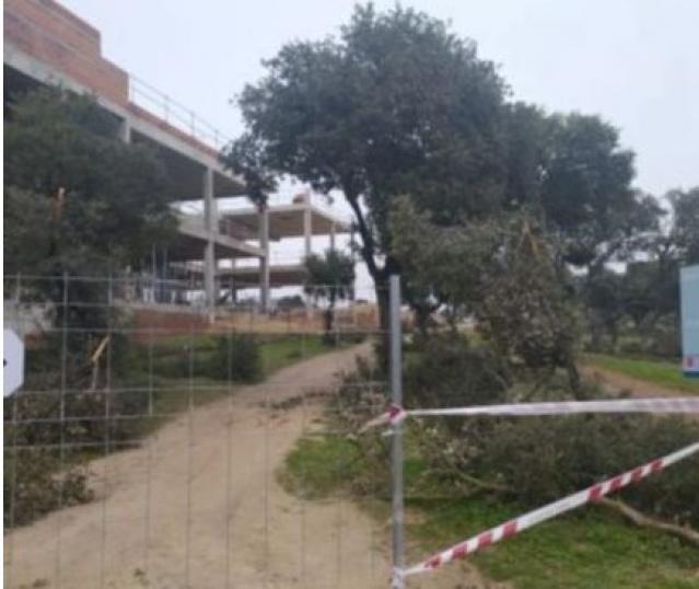El PSOE de Boadilla denuncia que las obras de un colegio privado invaden el Monte de Boadilla-Los Fresnos