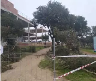 El PSOE de Boadilla denuncia que las obras de un colegio privado invaden el Monte de Boadilla-Los Fresnos