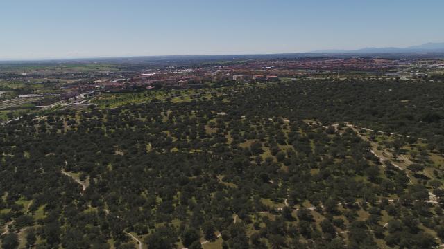 Rechazada la propuesta del PSOE para incluir el total del Monte Boadilla-Los Fresnos en el Catálogo 179 de Montes de Utilidad Pública de la CAM
