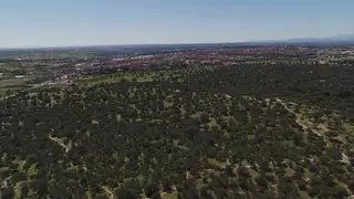 Rechazada la propuesta del PSOE para incluir el total del Monte Boadilla-Los Fresnos en el Catálogo 179 de Montes de Utilidad Pública de la CAM
