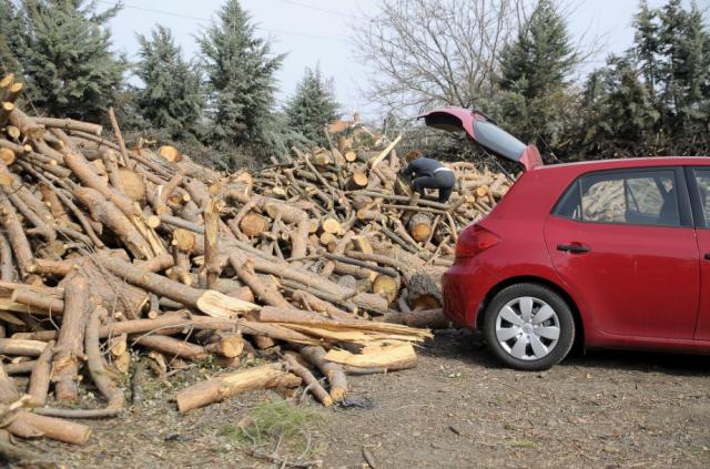 El Ayuntamiento de Boadilla abre la inscripción para un nuevo reparto de leña 