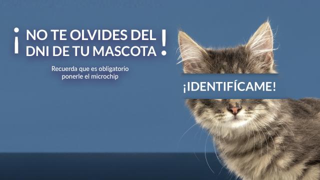 El Ayuntamiento inicia una campaña de concienciación para identificar con microchip a todos los animales de compañía