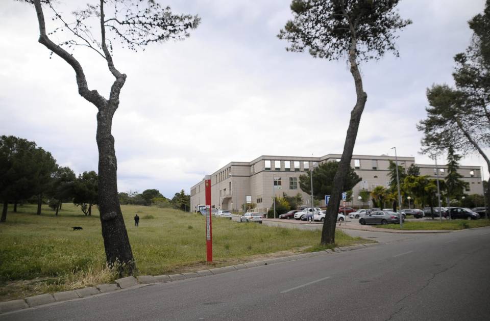 La plantación de árboles  prevista para el próximo domingo se traslada a una parcela anexa al centro comercial Las Lomas