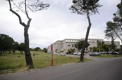 La plantación de árboles  prevista para el próximo domingo se traslada a una parcela anexa al centro comercial Las Lomas