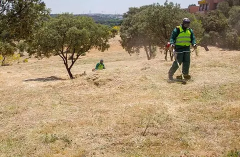 El Ayuntamiento de Boadilla recuerda la obligación de mantener limpios y desbrozados los solares y terrenos privados 