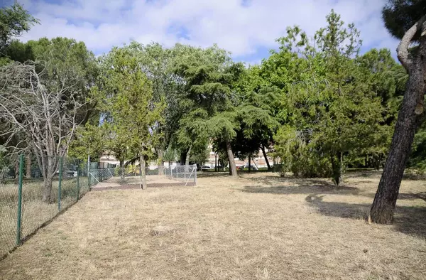 El Parque Virgen del Pilar estrena un área canina de 2400 metros cuadrados