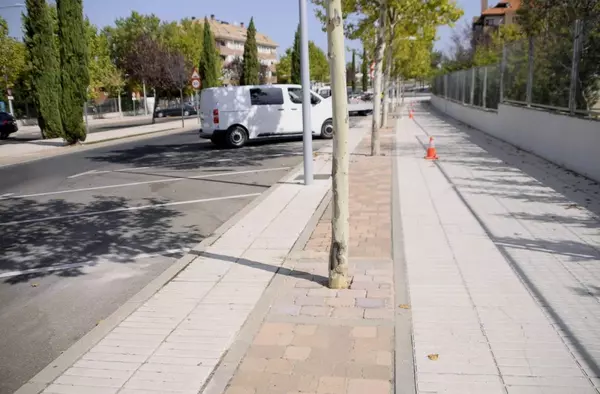 El Ayuntamiento realiza el solado de alcorques en las principales calles de Boadilla