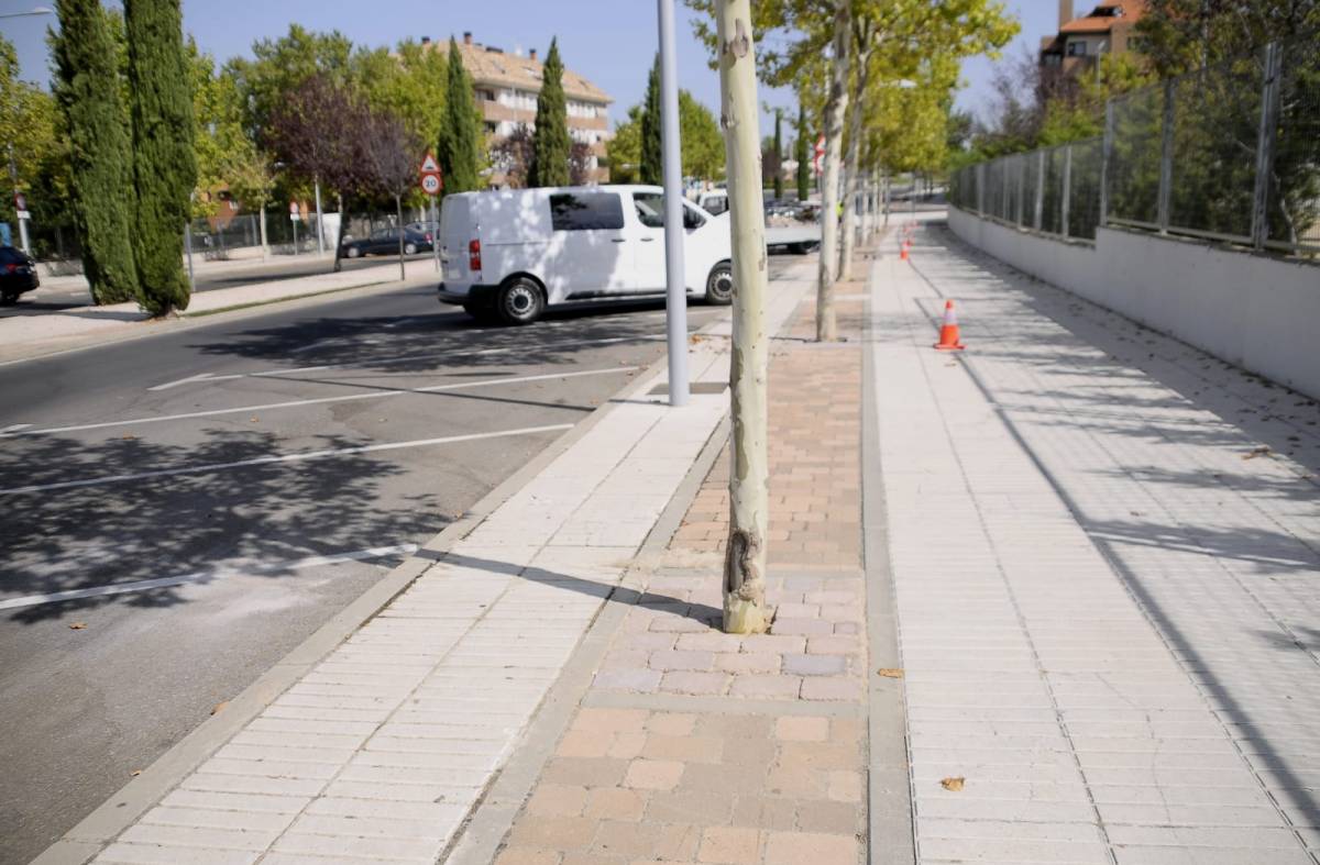 El Ayuntamiento realiza el solado de alcorques en las principales calles de Boadilla