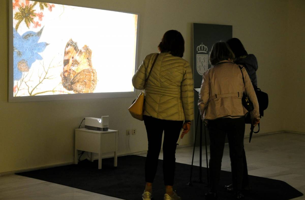 "Naturaleza Viva", la exposición interactiva sobre pintura floral del siglo XVII que se puede ver en Boadilla