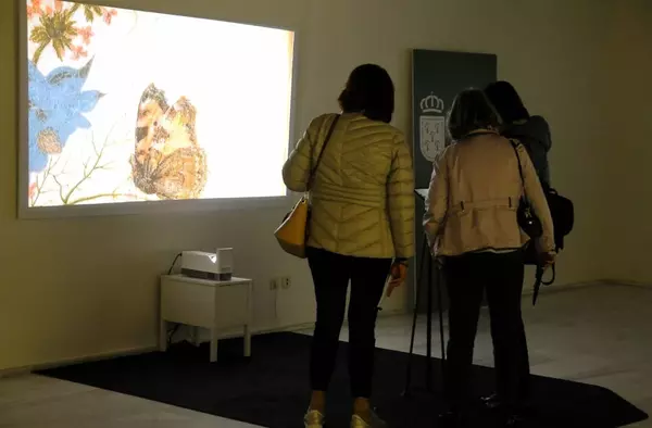 "Naturaleza Viva", la exposición interactiva sobre pintura floral del siglo XVII que se puede ver en Boadilla