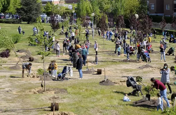 Boadilla abre el plazo de inscripción para una participar en una plantación familiar de árboles  