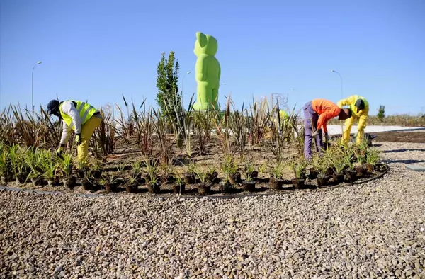 El Consistorio de Boadilla lleva a cabo trabajos de mejora en las rotondas de Los Fresnos y Valdecabañas 