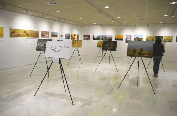 El Centro de Formación acoge 'Mis memorias de África', la exposición fotográfica del joven boadillano David Cisneros