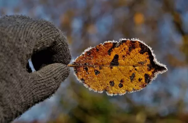 Las temperaturas mínimas descienden hasta los -4 grados en la región