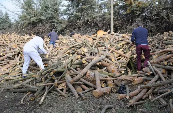 Boadilla abre la inscripción para el reparto de leña entre los vecinos