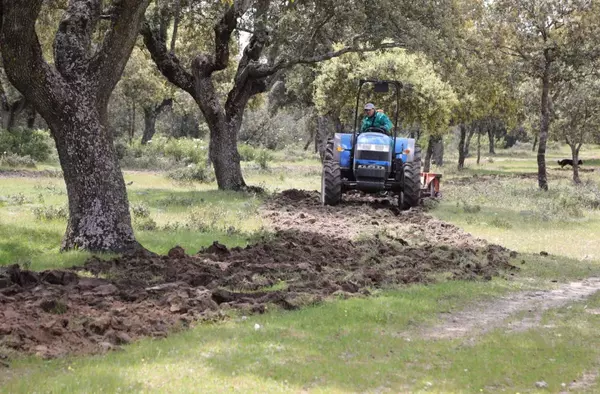 El Ayuntamiento de Boadilla restaura la vegetación de caminos del monte que están siendo utilizados de forma indebida