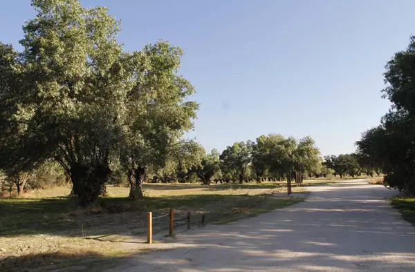 GREFA propone actividades y talleres sobre la flora, fauna y biodiversidad en el monte de Boadilla