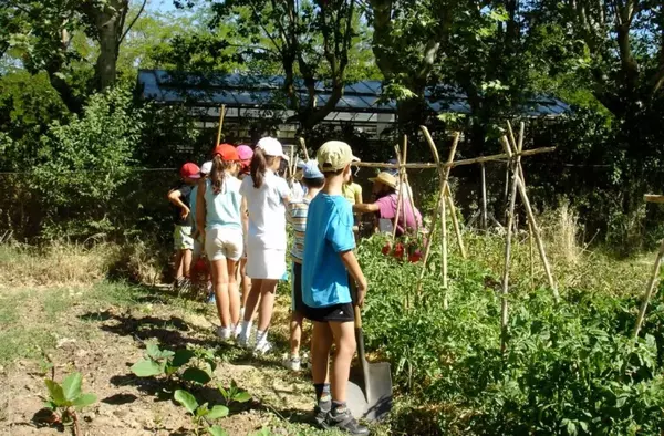 Abierto el plazo de inscripción para los campamentos de verano del Ayuntamiento de Boadilla