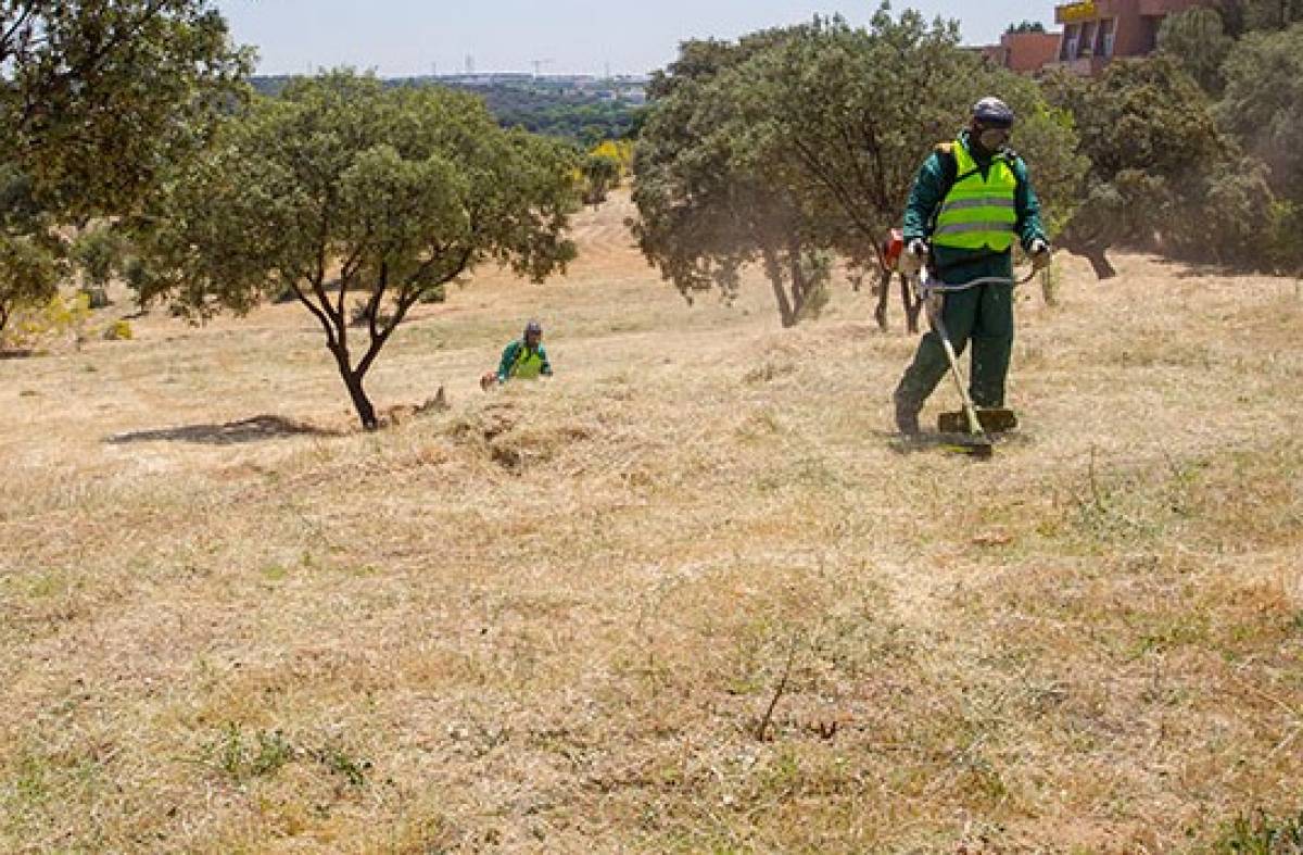 Boadilla recuerda la obligación de limpiar y desbrozar los solares y terrenos privados para prevenir incendios