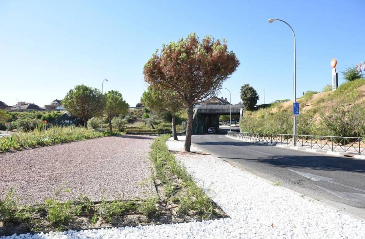 Finalizadas las obras en la mediana de Miguel Ángel Cantero Oliva con la Avenida Infante D. Luis