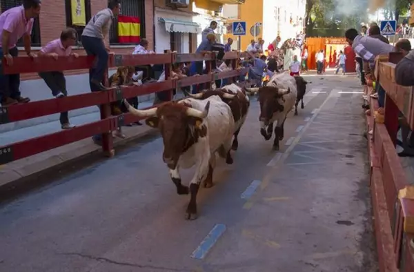 Fiestas Boadilla 2022: Programación para el Lunes 3 de Octubre