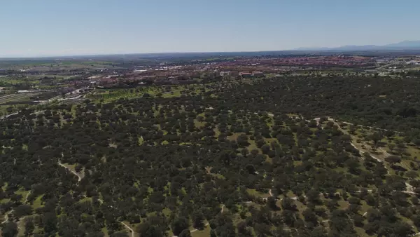 El PSOE invita a los vecinos a un paseo en defensa del Monte de Boadilla
