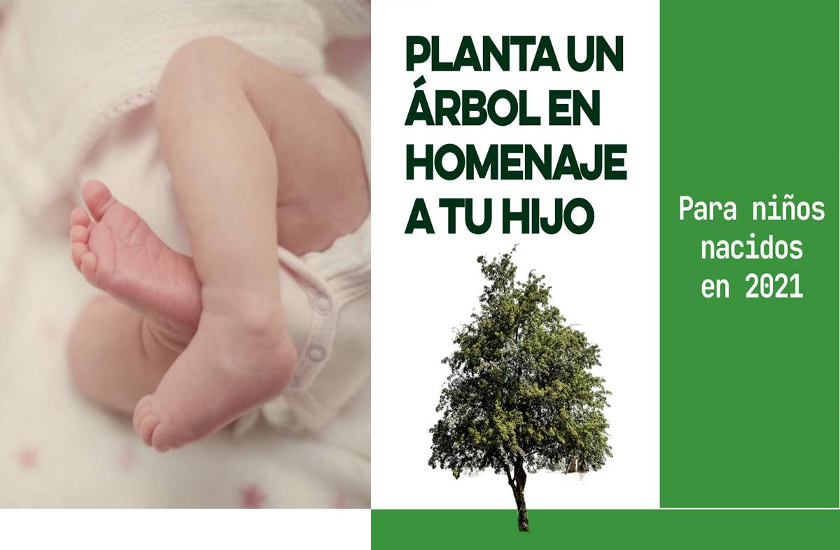 Boadilla abre la inscripción para la plantación de árboles en homenaje a los niños nacidos en 2021
