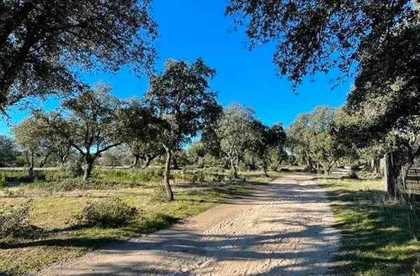 VOX propone declarar todo el monte de Boadilla como 'monte protegido'