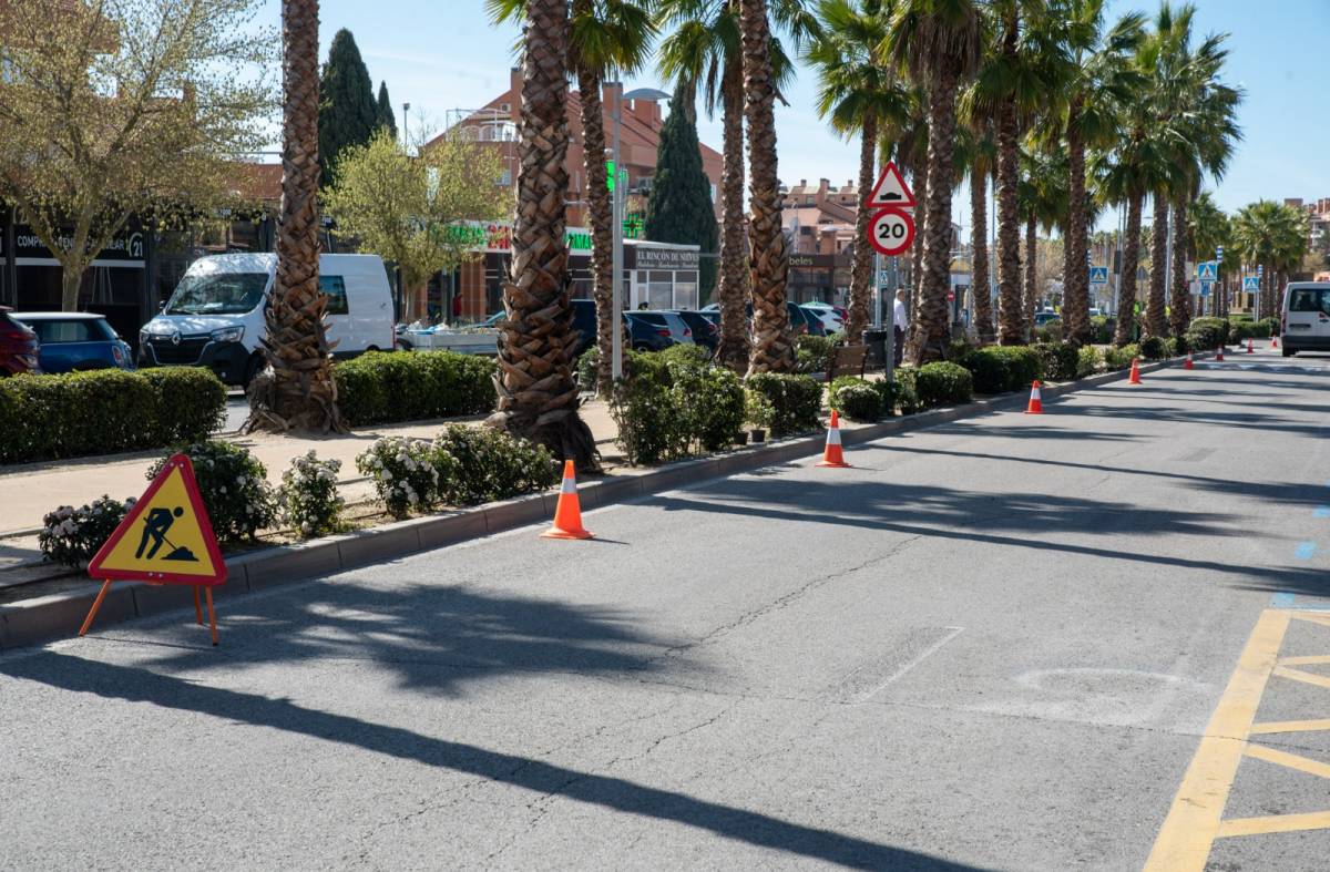 Boadilla adorna sus vías públicas y zonas verdes con cuatro mil unidades de diferentes tipos de arbustos