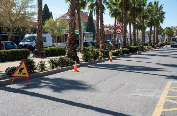 Boadilla adorna sus vías públicas y zonas verdes con cuatro mil unidades de diferentes tipos de arbustos