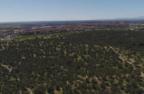 El PSOE presenta cerca de 3.000 firmas para exigir la máxima protección ambiental del Monte de Boadilla – Los Fresnos