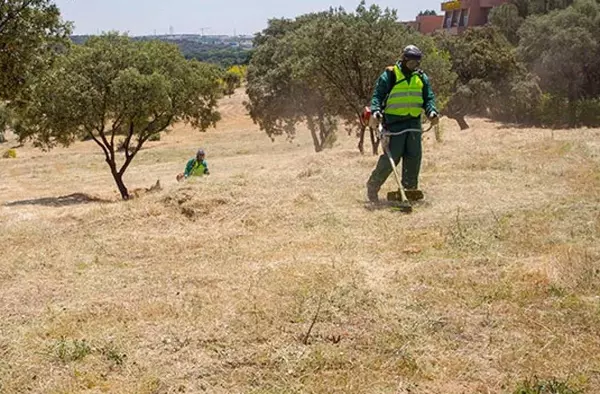 El Ayuntamiento recuerda la obligatoriedad de limpiar y desbrozar los solares y terrenos privados para prevenir incendios