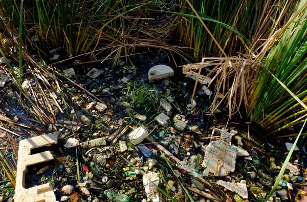 La lucha contra la 'Basuraleza' y la protección ambiental en el punto de mira del PSOE de Boadilla