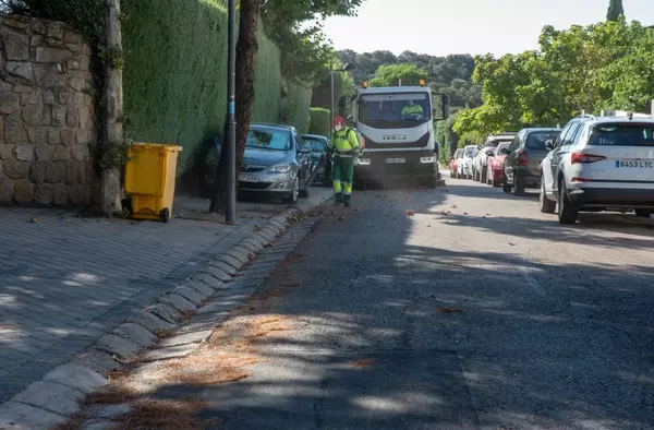 El Ayuntamiento refuerza los trabajos de barrido de pinocha en las urbanizaciones históricas