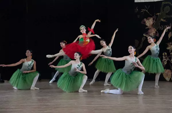 DANZA. 'El Cascanueces'. 9 de Diciembre en Boadilla
