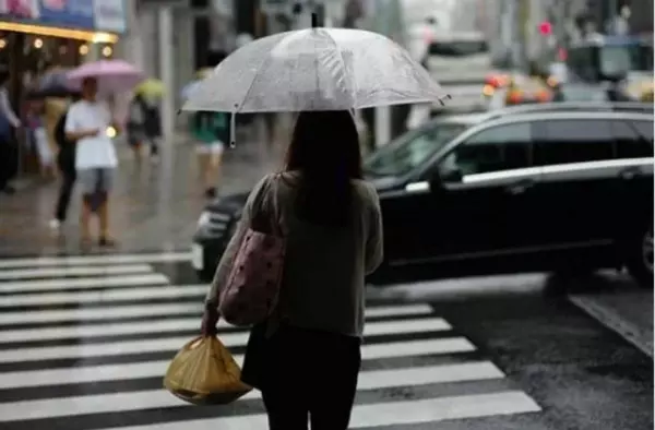 Cuarenta propuestas del comercio local para aprovechar los Días de Lluvia en Boadilla 